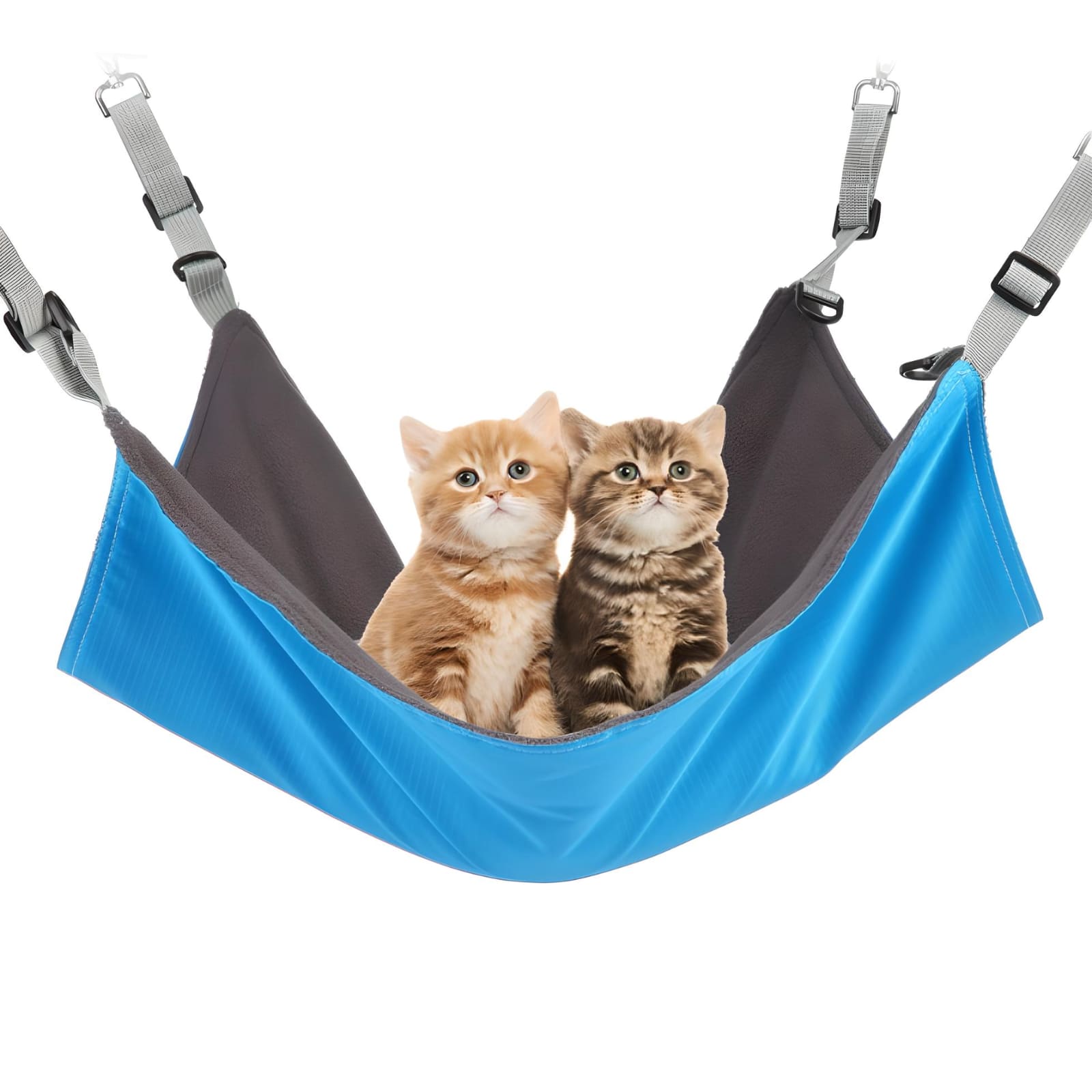 Copy-of-two-cats-sitting-in-a-hanging-pet-bed