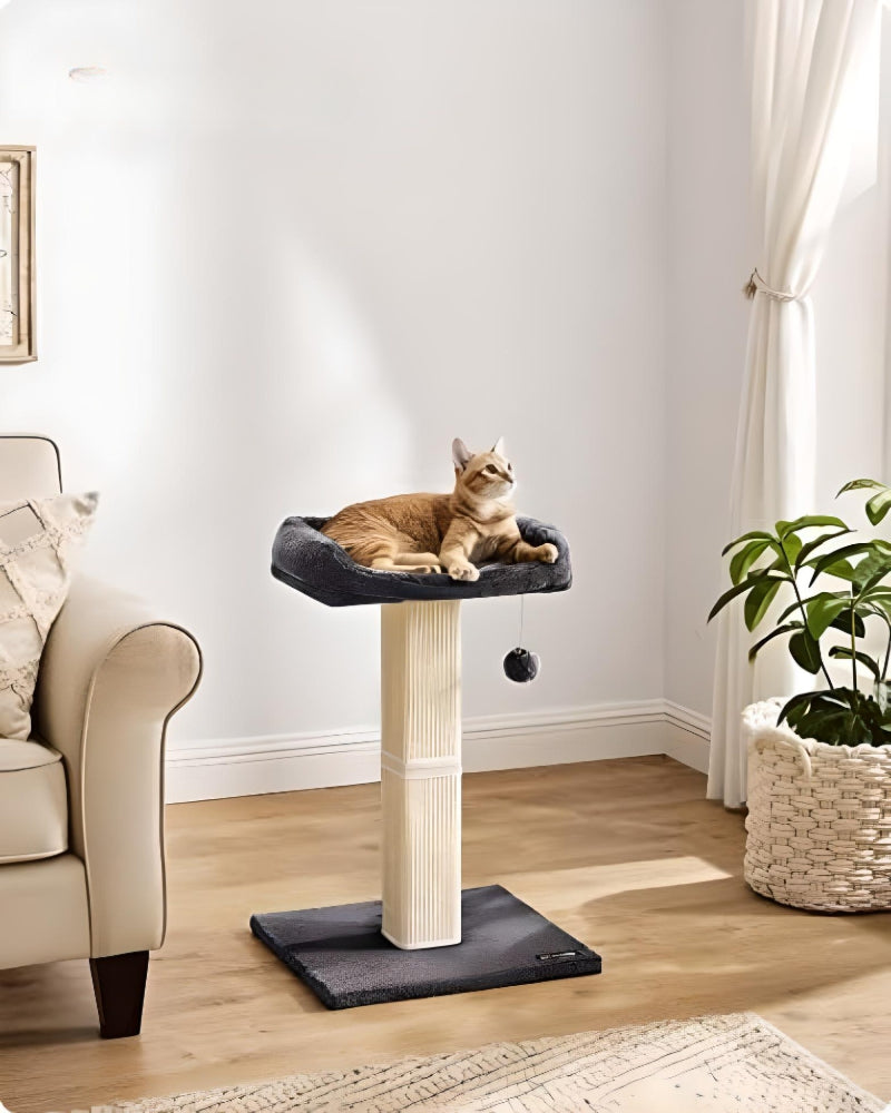 a-cat-sitting-on-a-large-cat-post