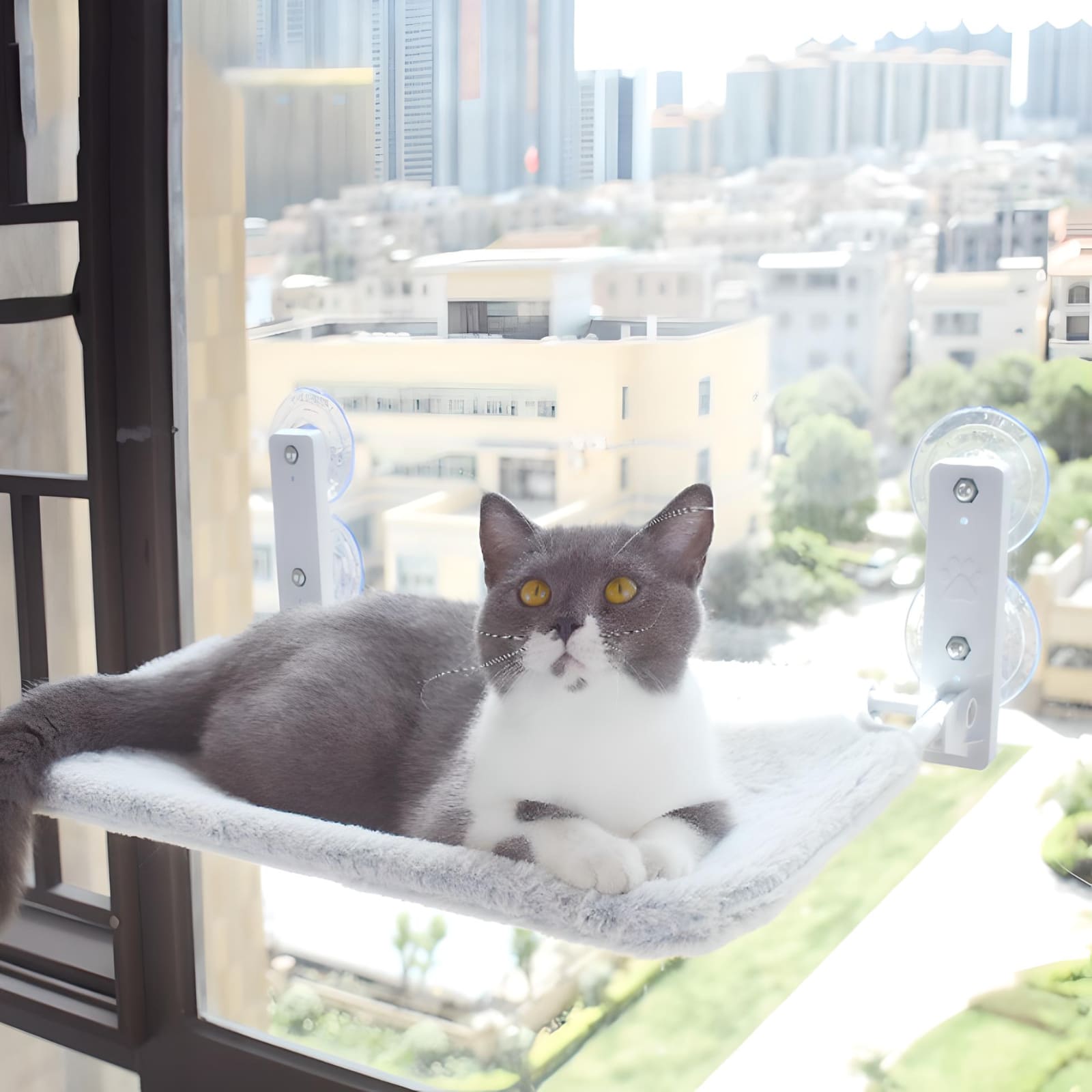 cat-looking-upwards-whiles-eating-on-foldable-window-perch