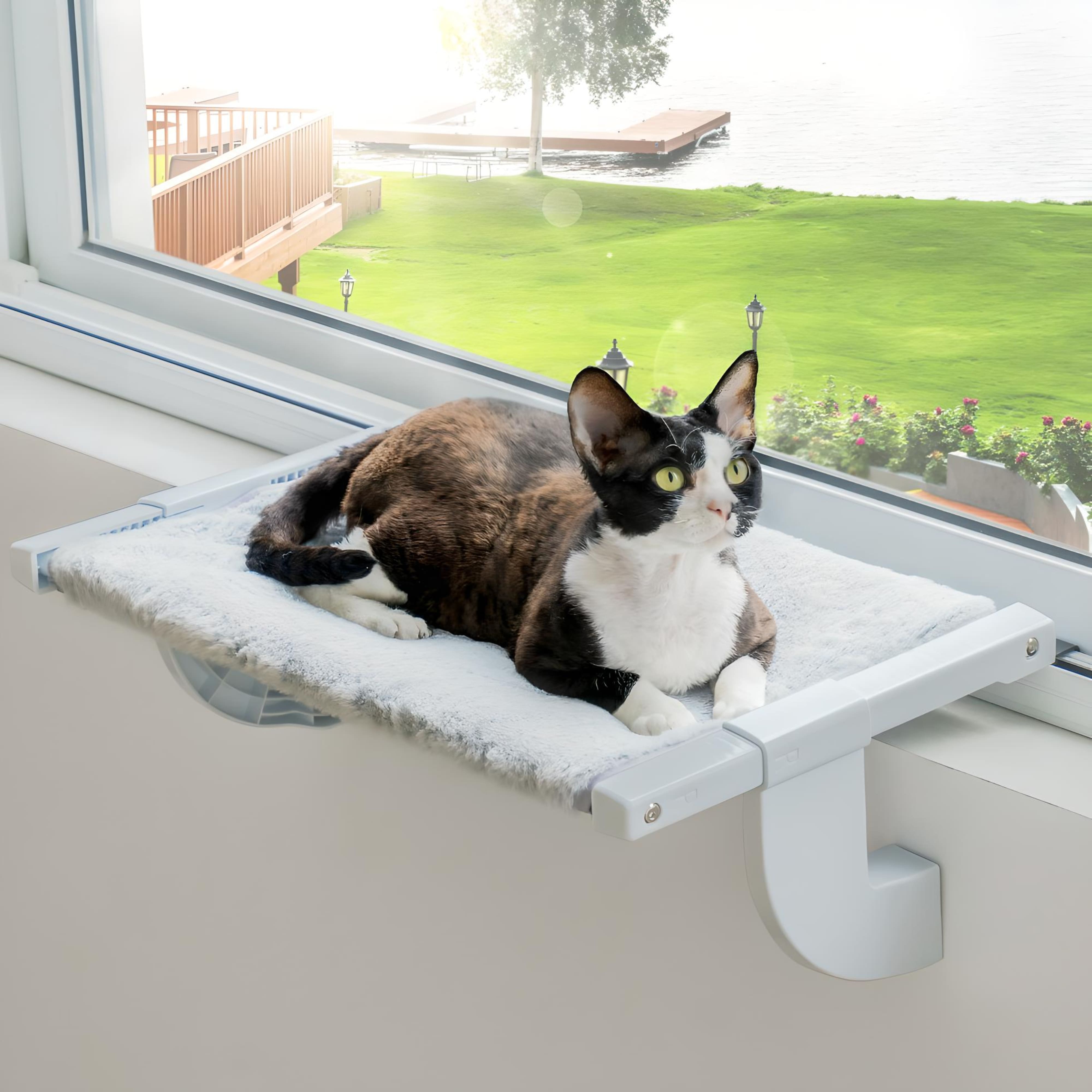 cat-lying-heated-window-seat