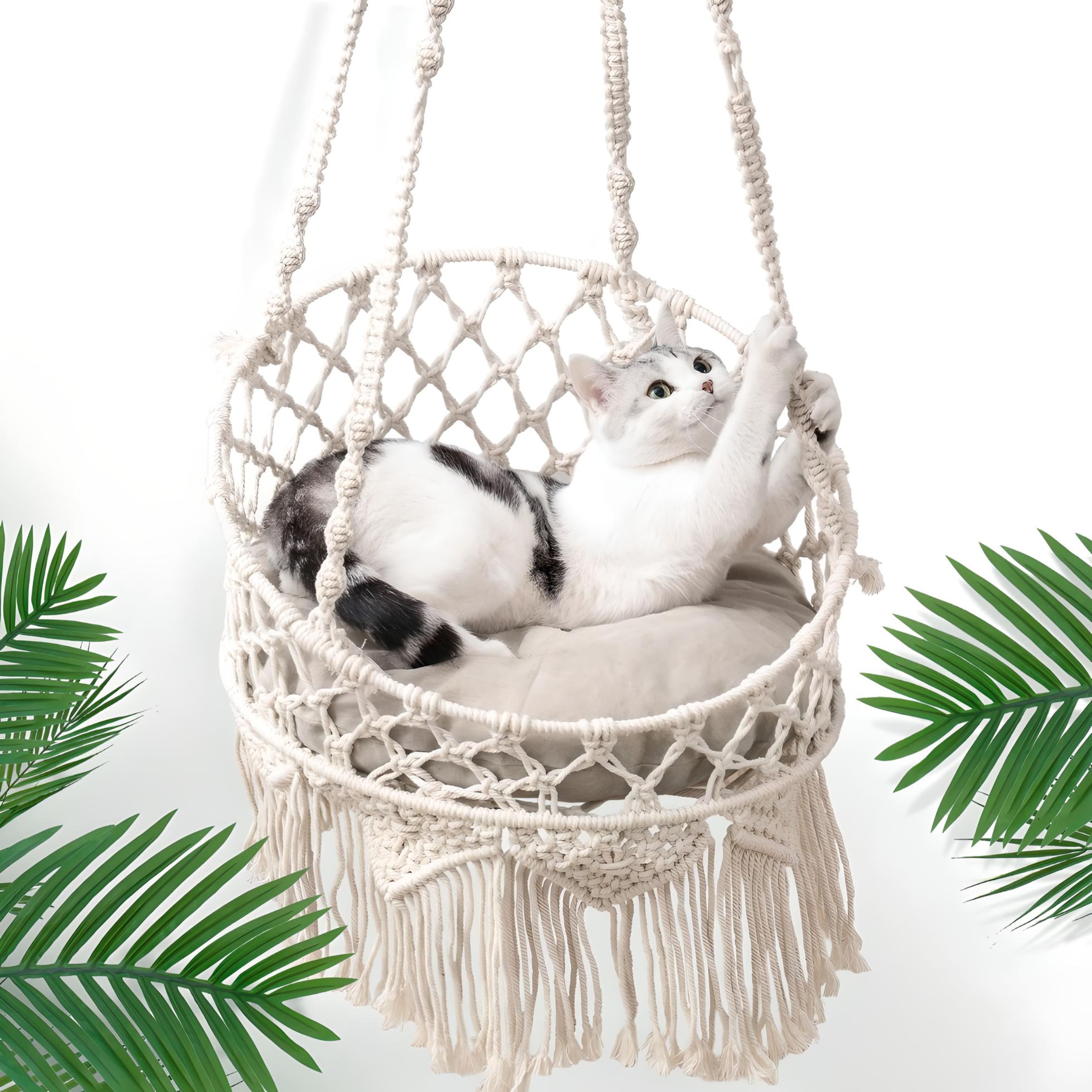 cat-lying-on-macrame-cat-hammock