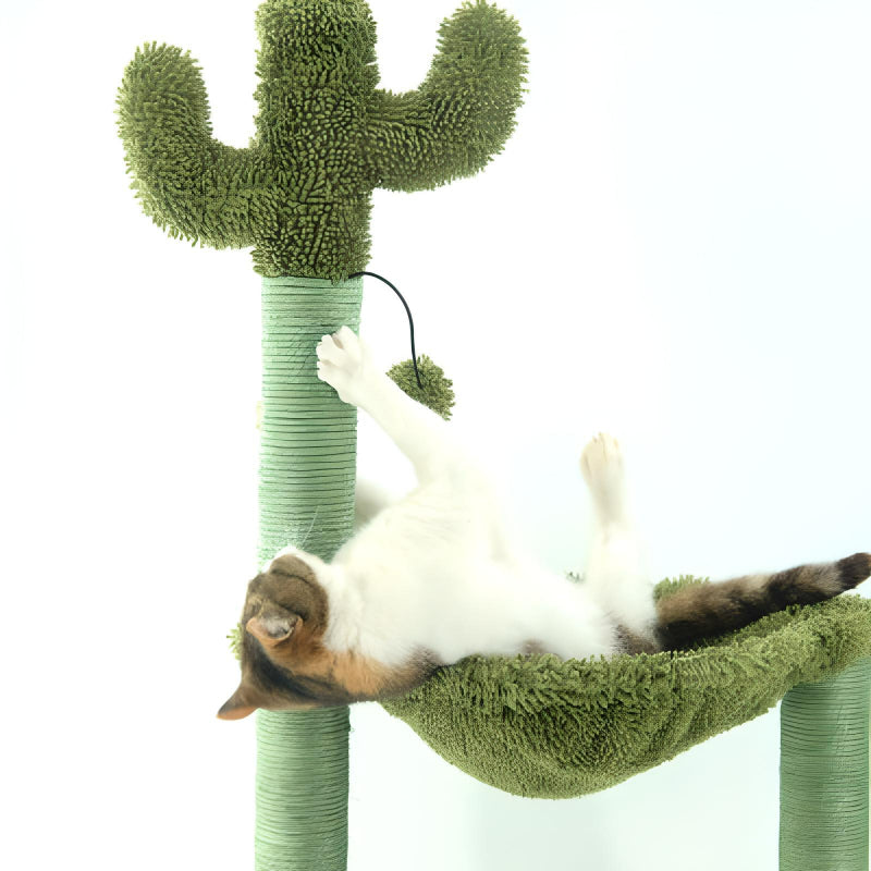     cat-playing-on-cactus-tree-hammock