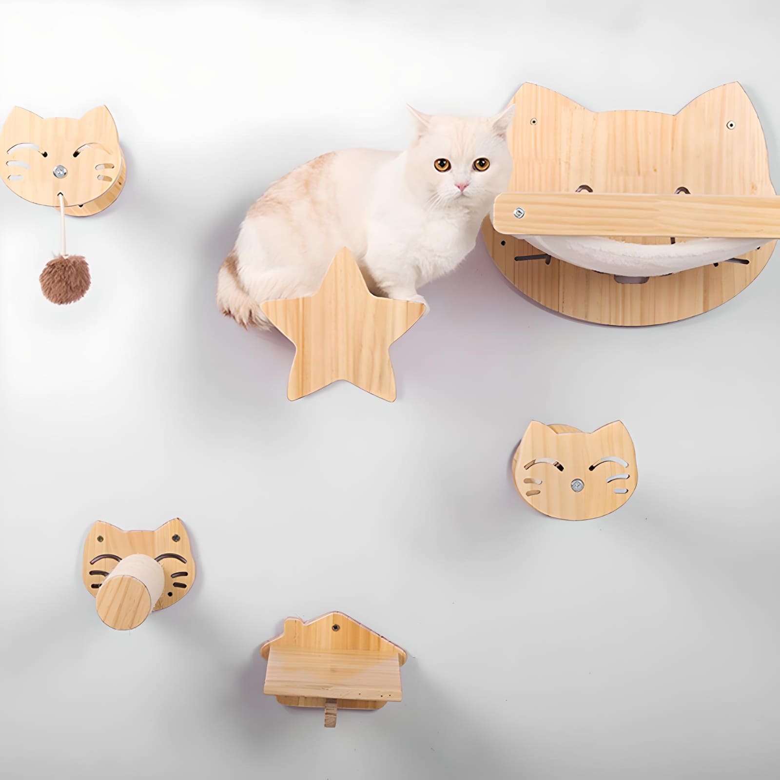 cat-play-with-cat-shelf
