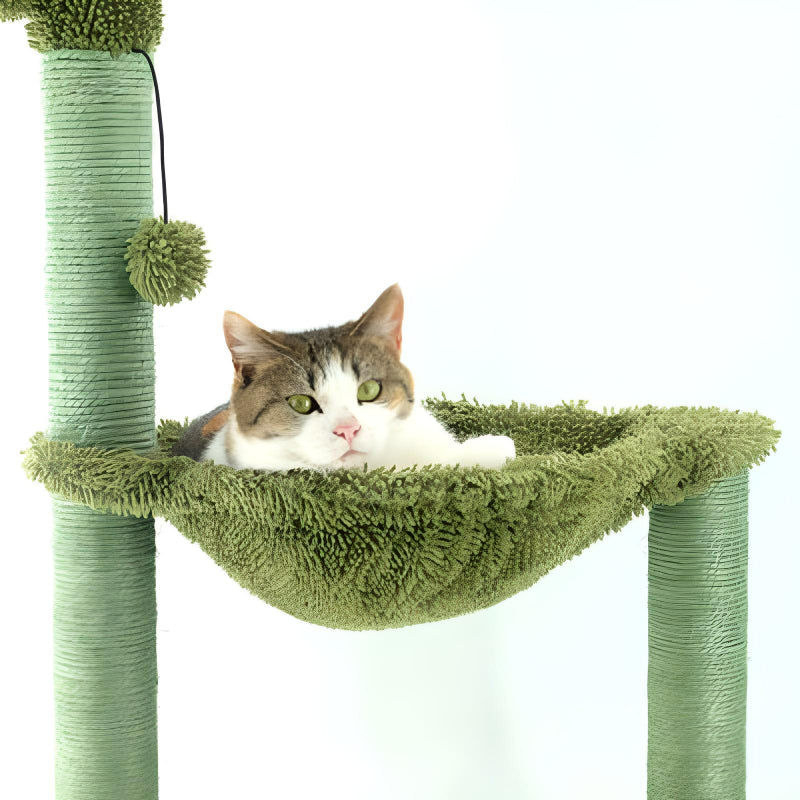 cats-eating-on-cactus-tree-and-staring