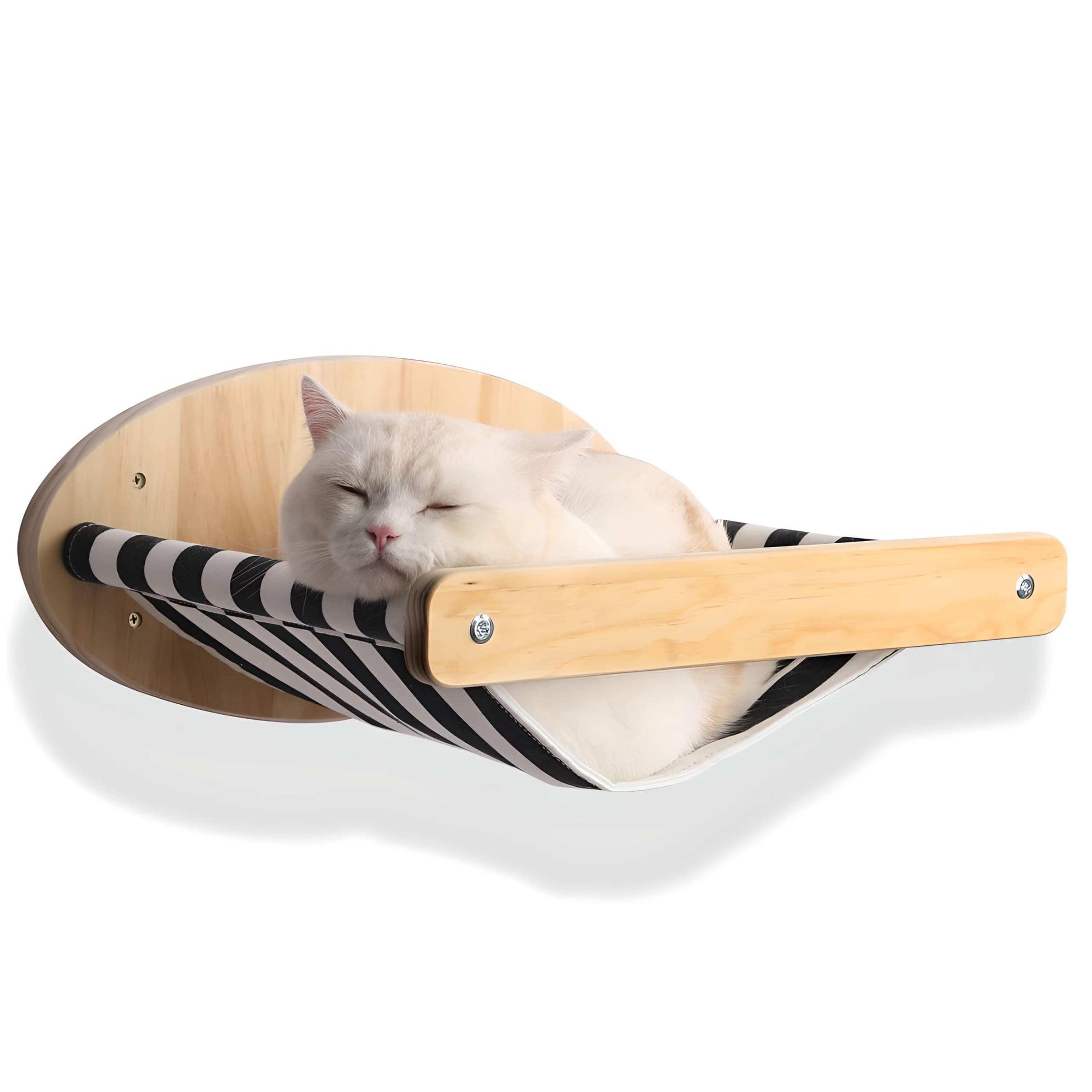 cat-sleeping-in-a-wall-hammock