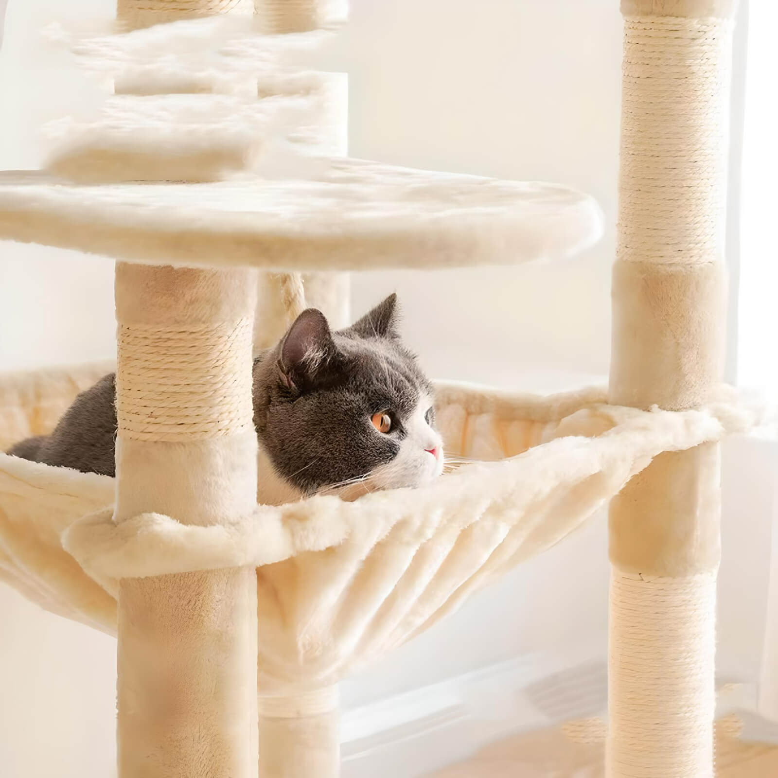 cream-colour-cat-tree-with-hammock