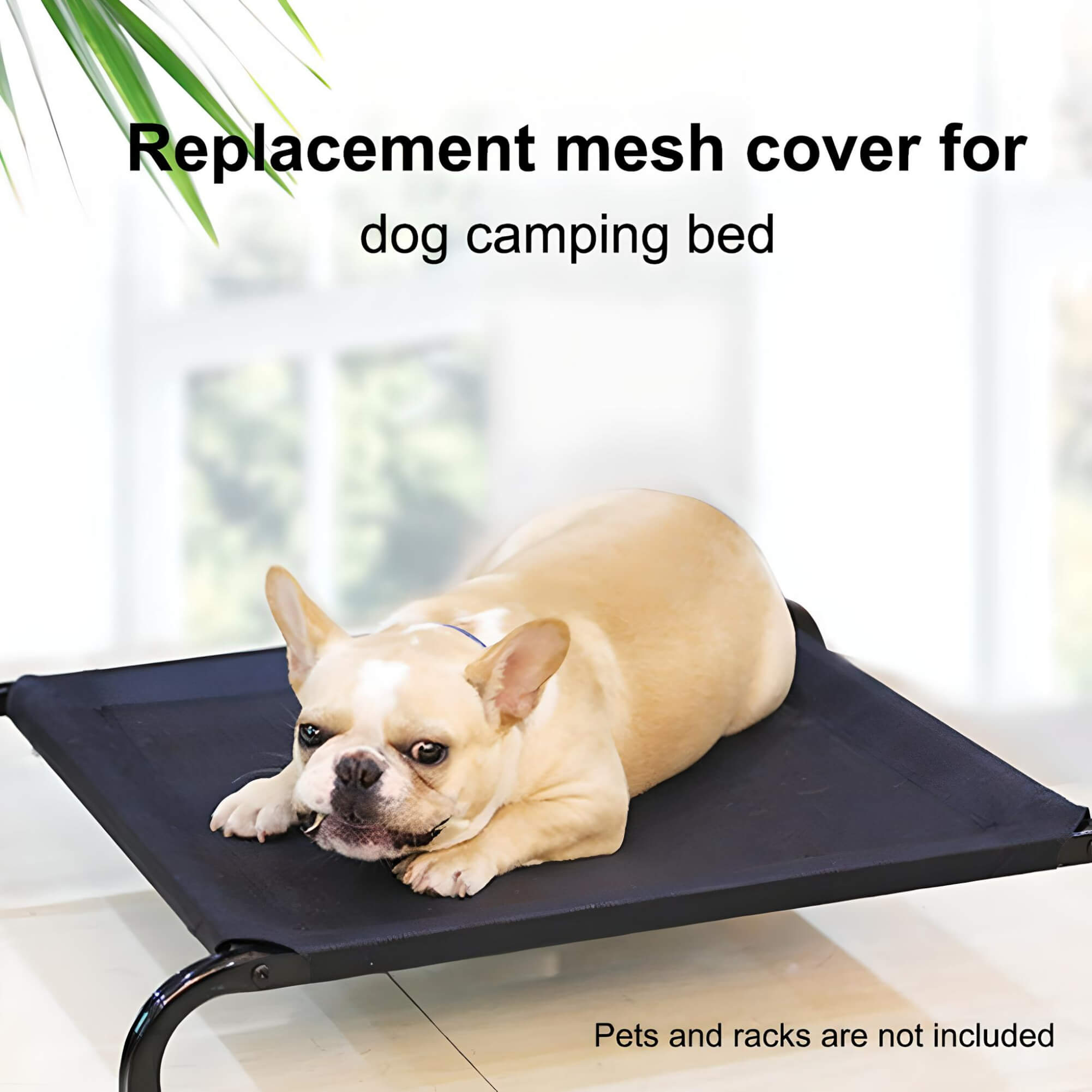 dog-laying-on-cots