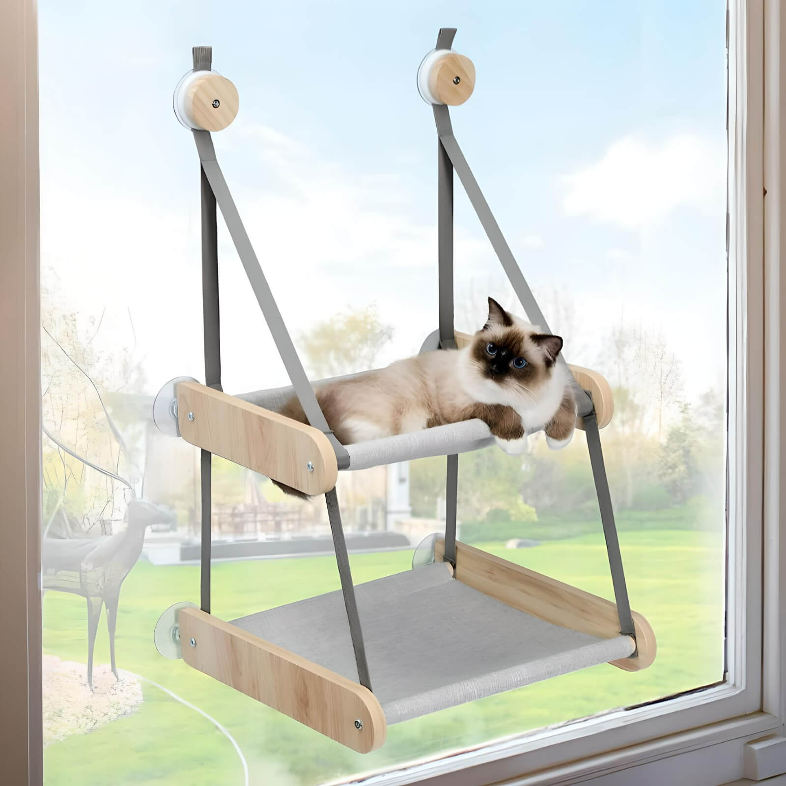    double-cat-hammock