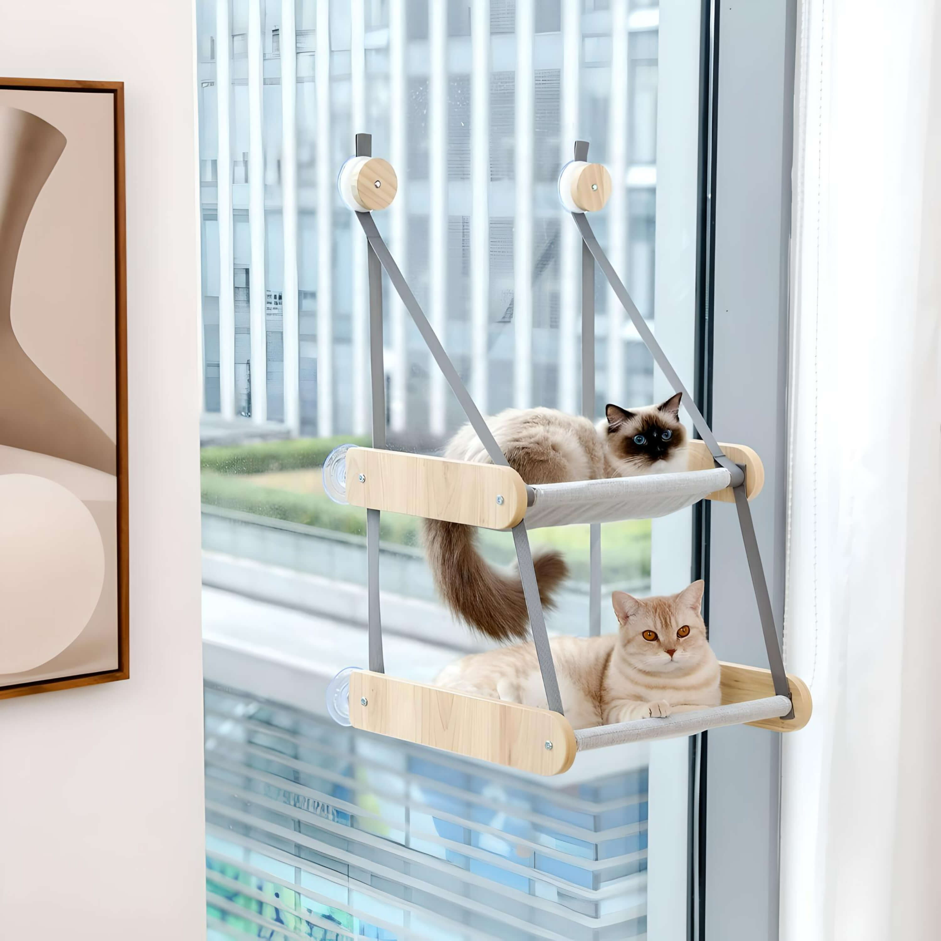 double-cat-hammock-2-cat-sitting