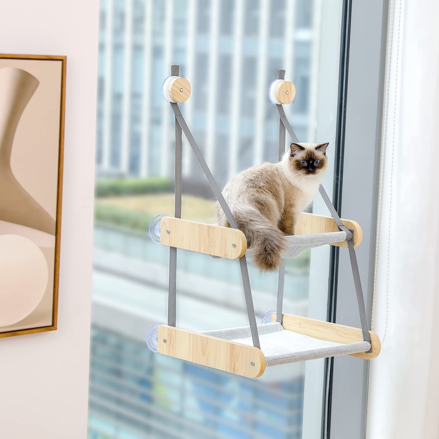 double-cat-hammock-from-wallmount