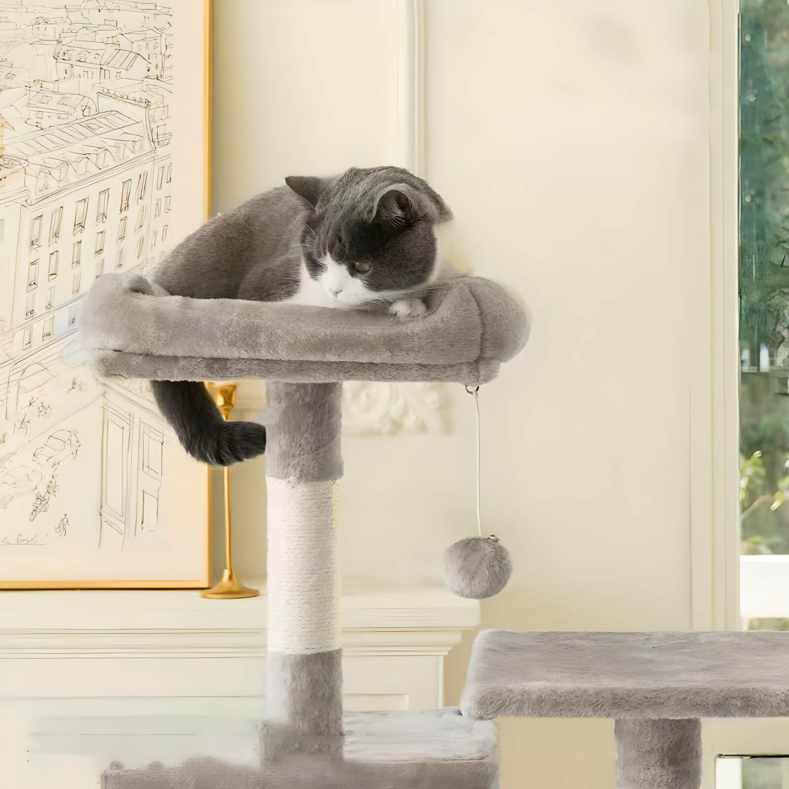 grey-colour-cat-sitting-on-tree-with-hammock