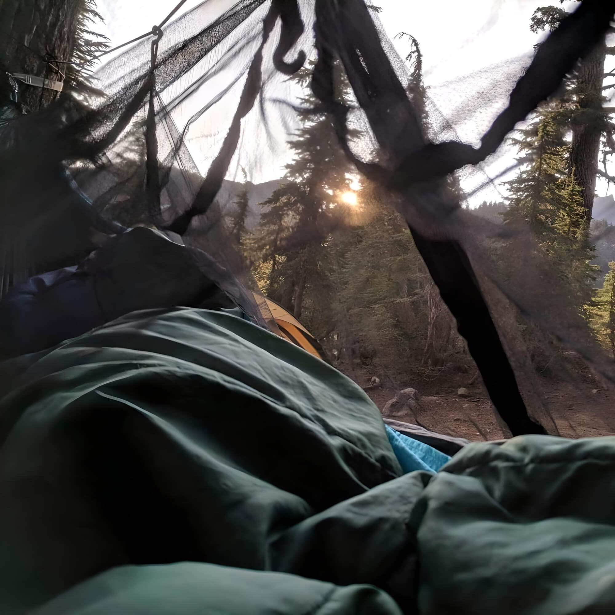 hammock-with-bug-screen-in-forest