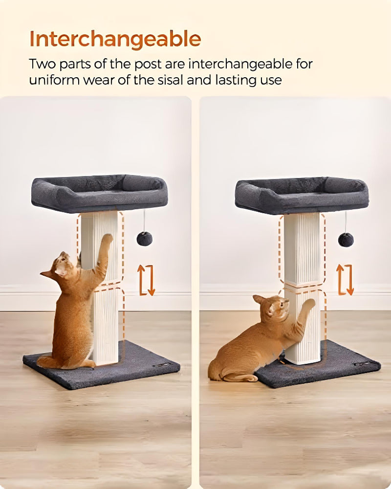 interchangeable-large-cat-post