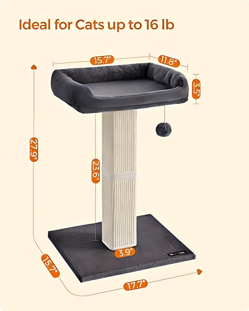 maximum-weight-capacity-large-cat-post