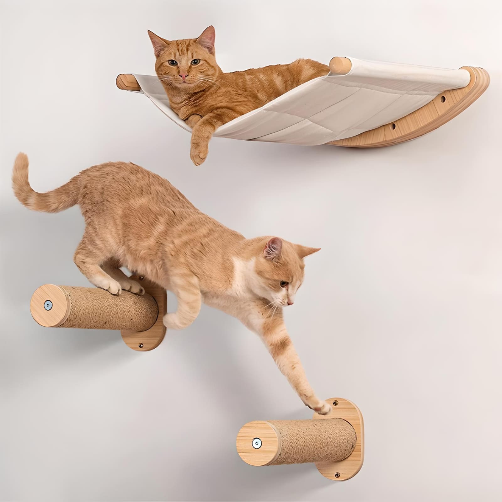 two-cats-on-a-wall-mounted-shelves