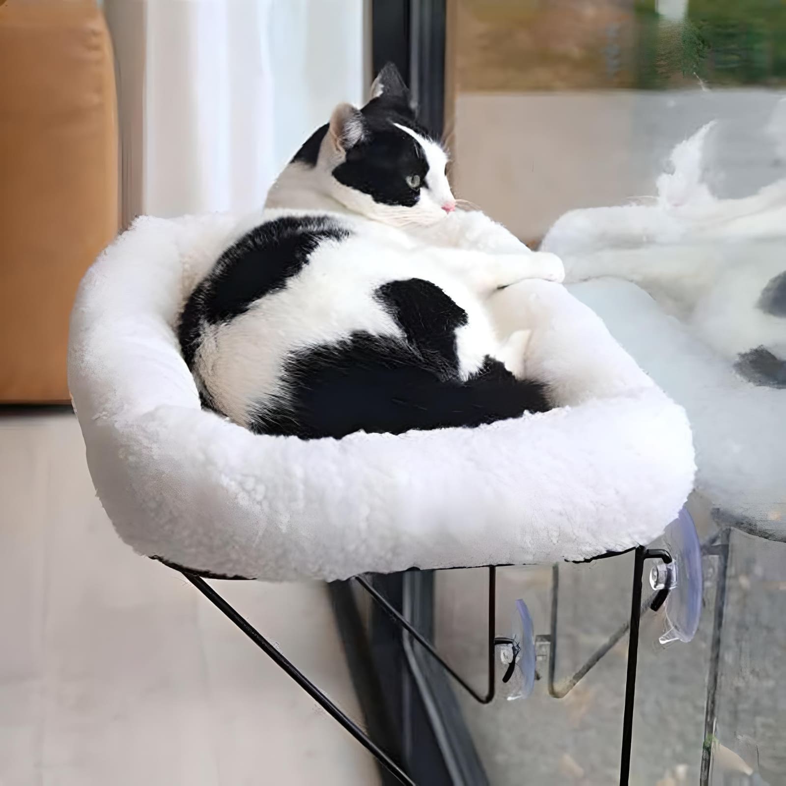 window-bed-for-cat-lying