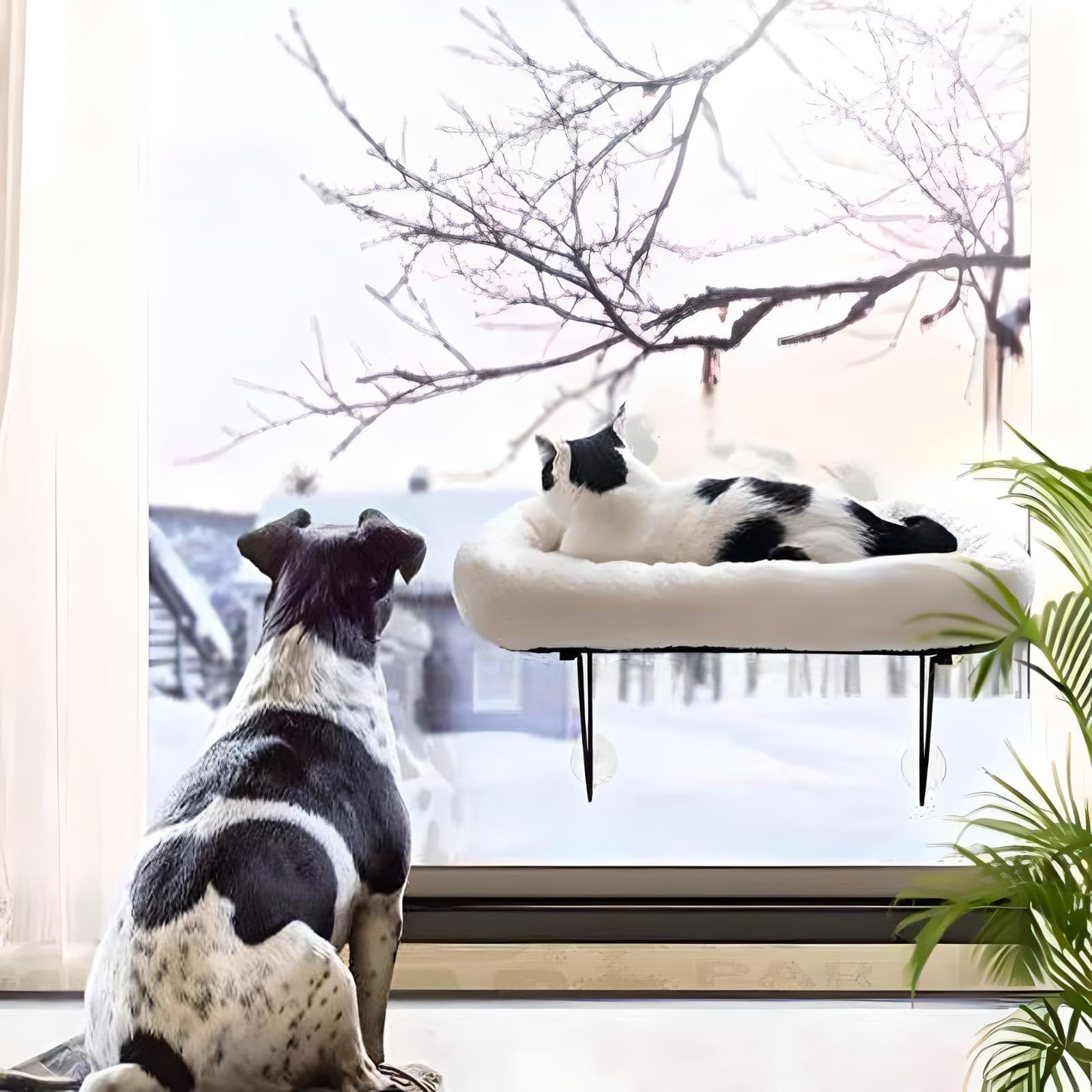 window-bed-for-cat-sleeping