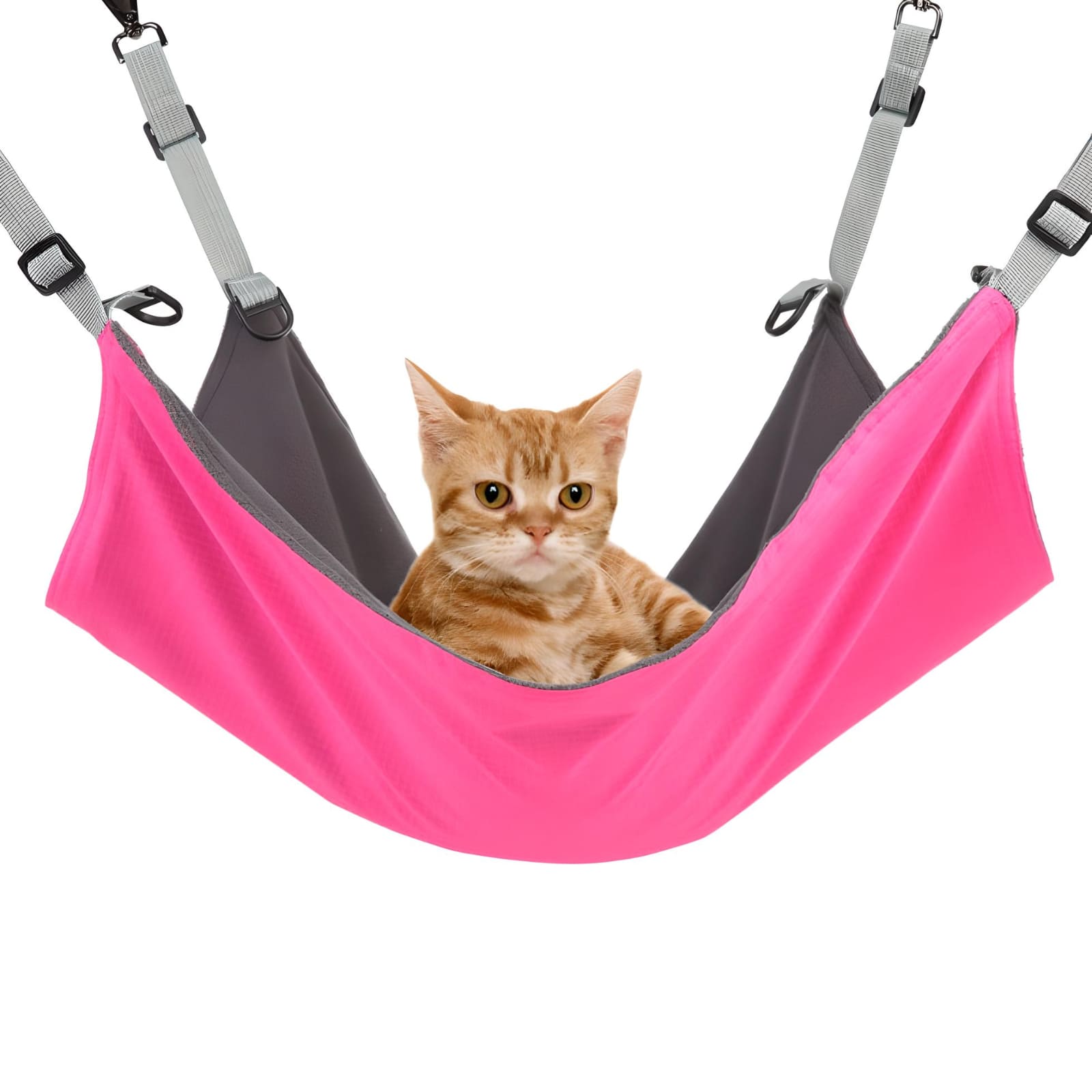 Copy-of-cat-in-a-pink-hanging-pet-bed