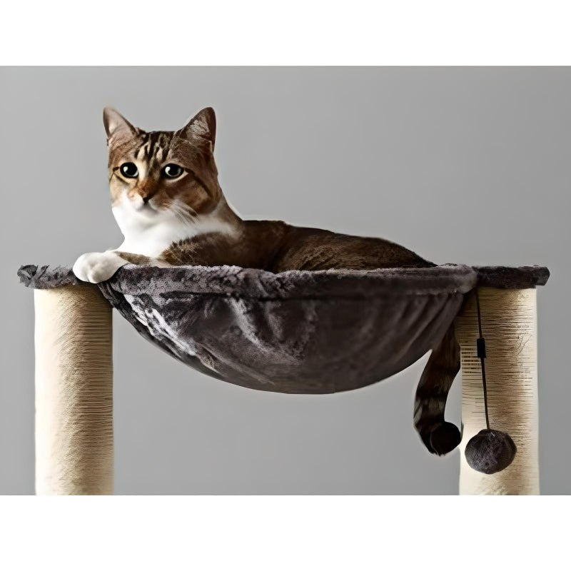 brown-cats-eating-on-tree-hammock
