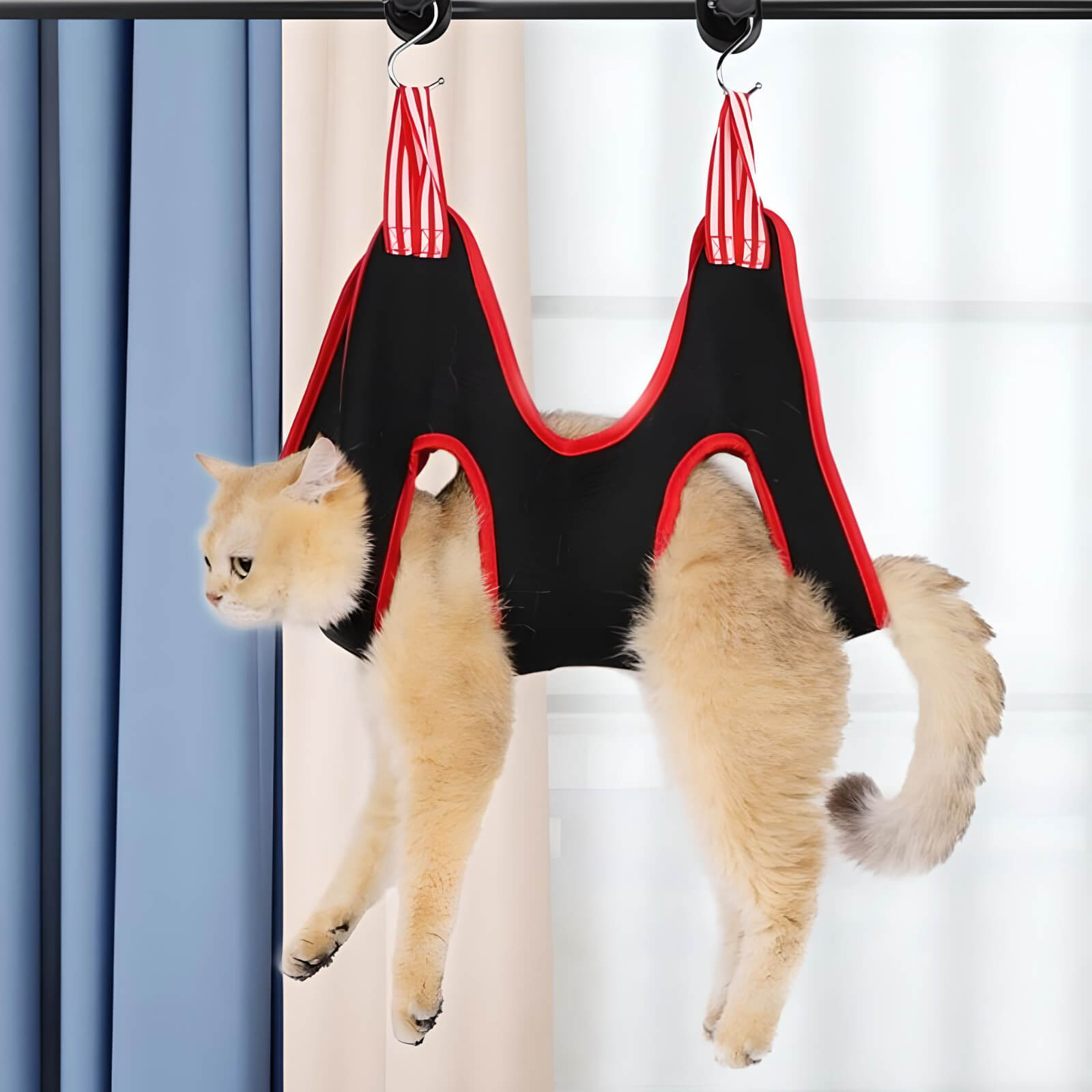 cat-in-a-grooming-hammock