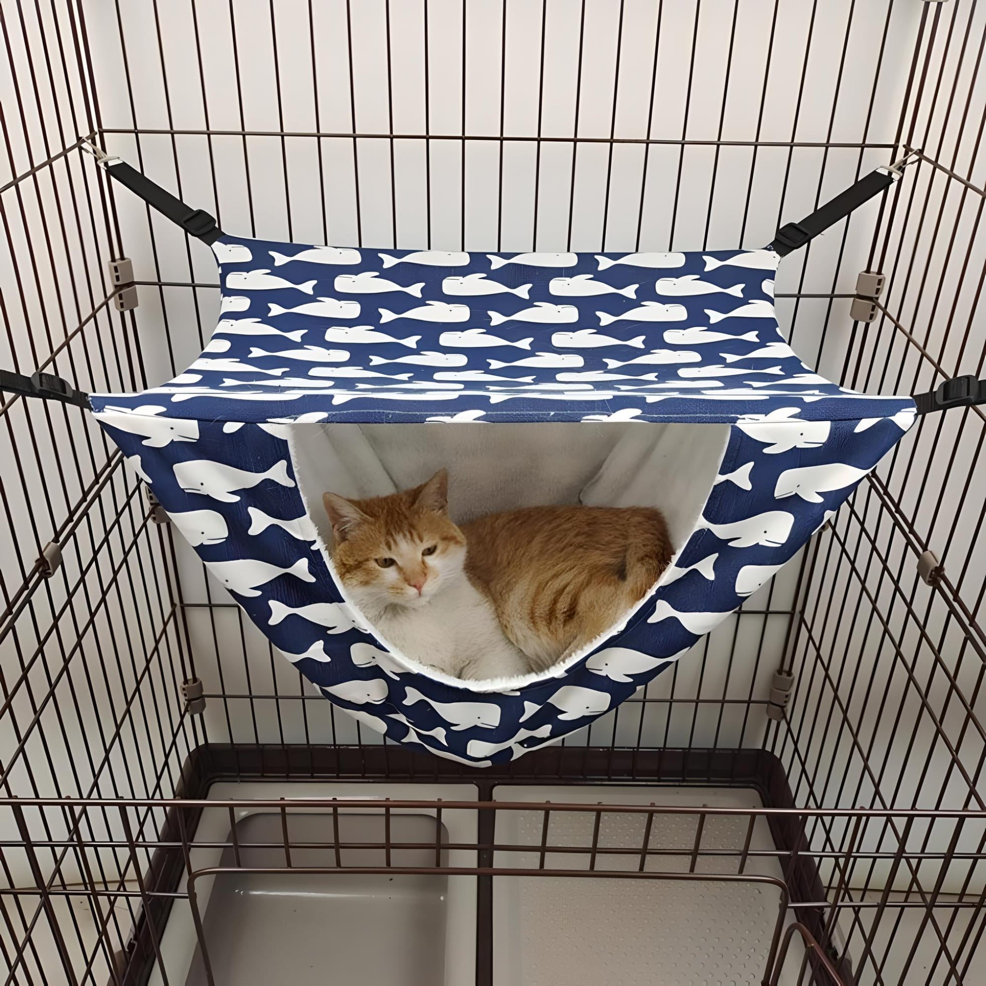 cat-lying-blue-cage-hammock