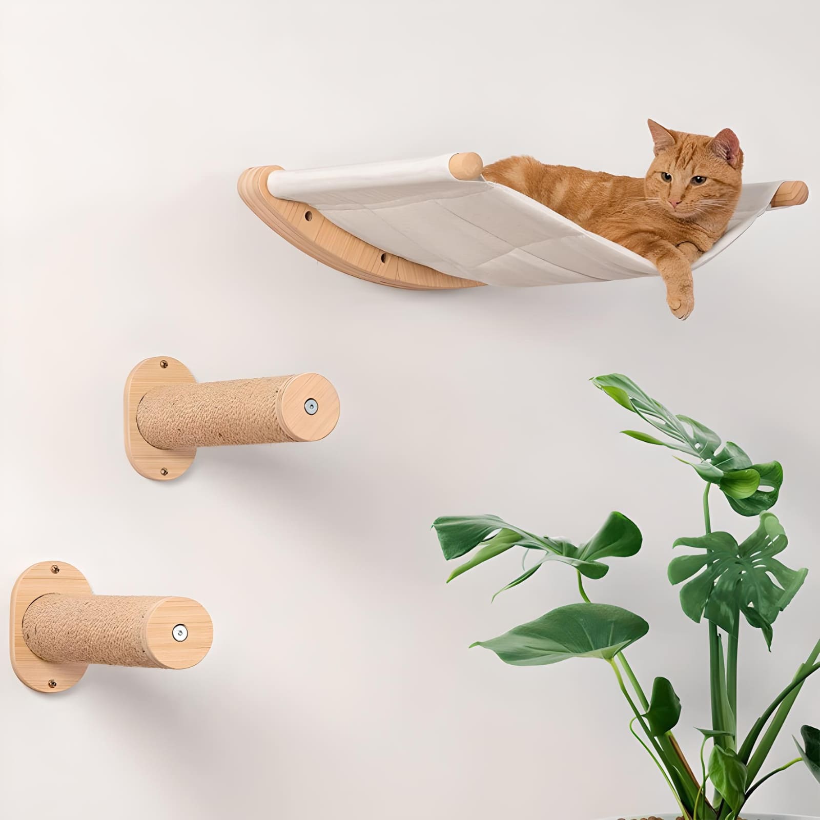 cat-lying-on-a-wall-mounted-shelves