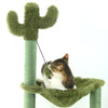 cats-eating-on-cactus-tree-hammock