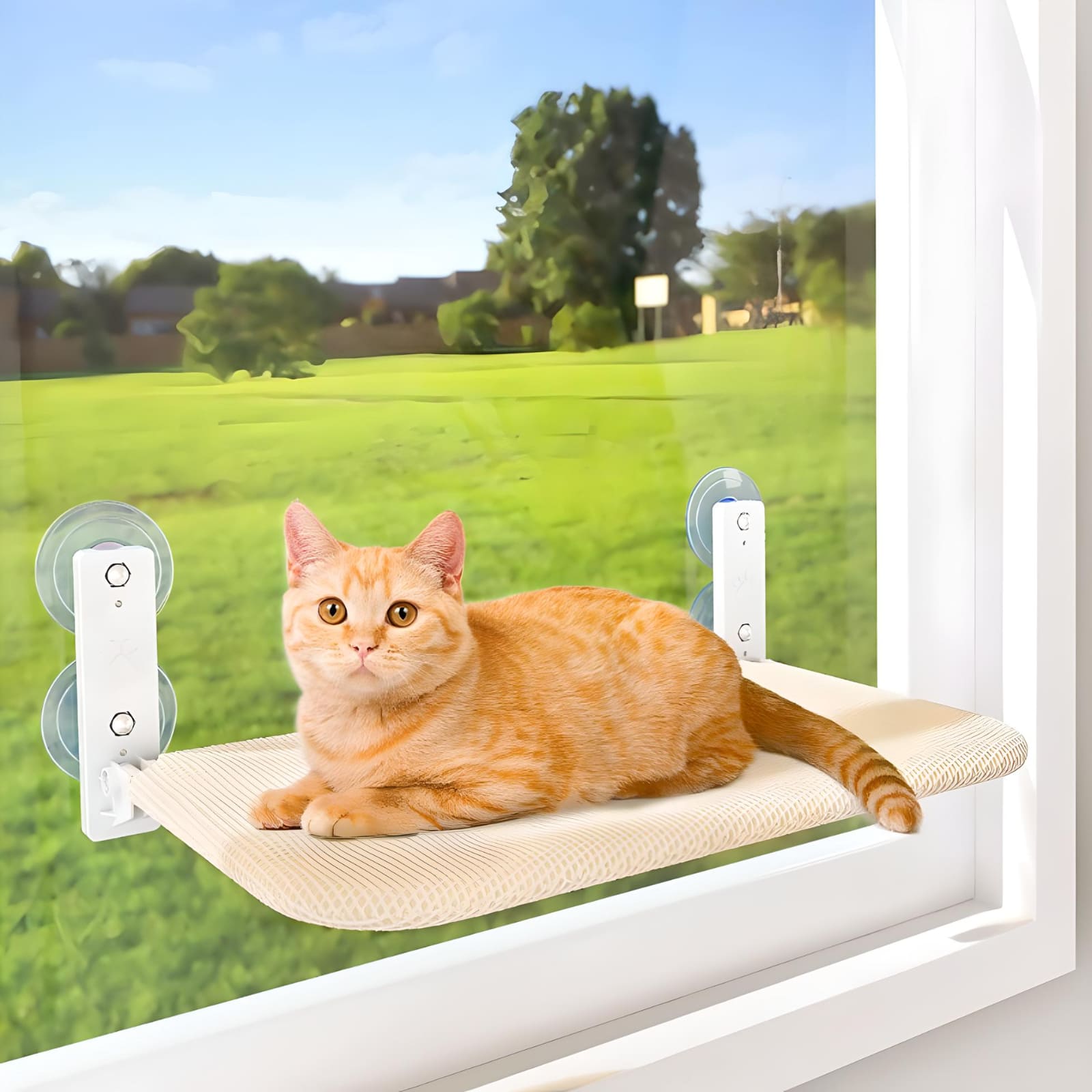 cat-sitting-on-foldable-window-perch