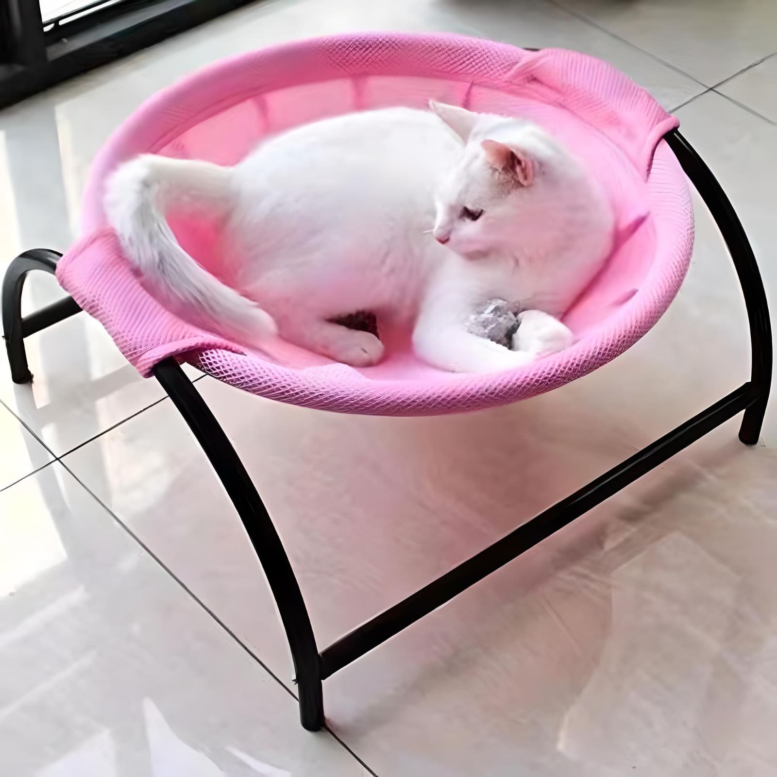 cat-sitting-on-large-cat-hammock