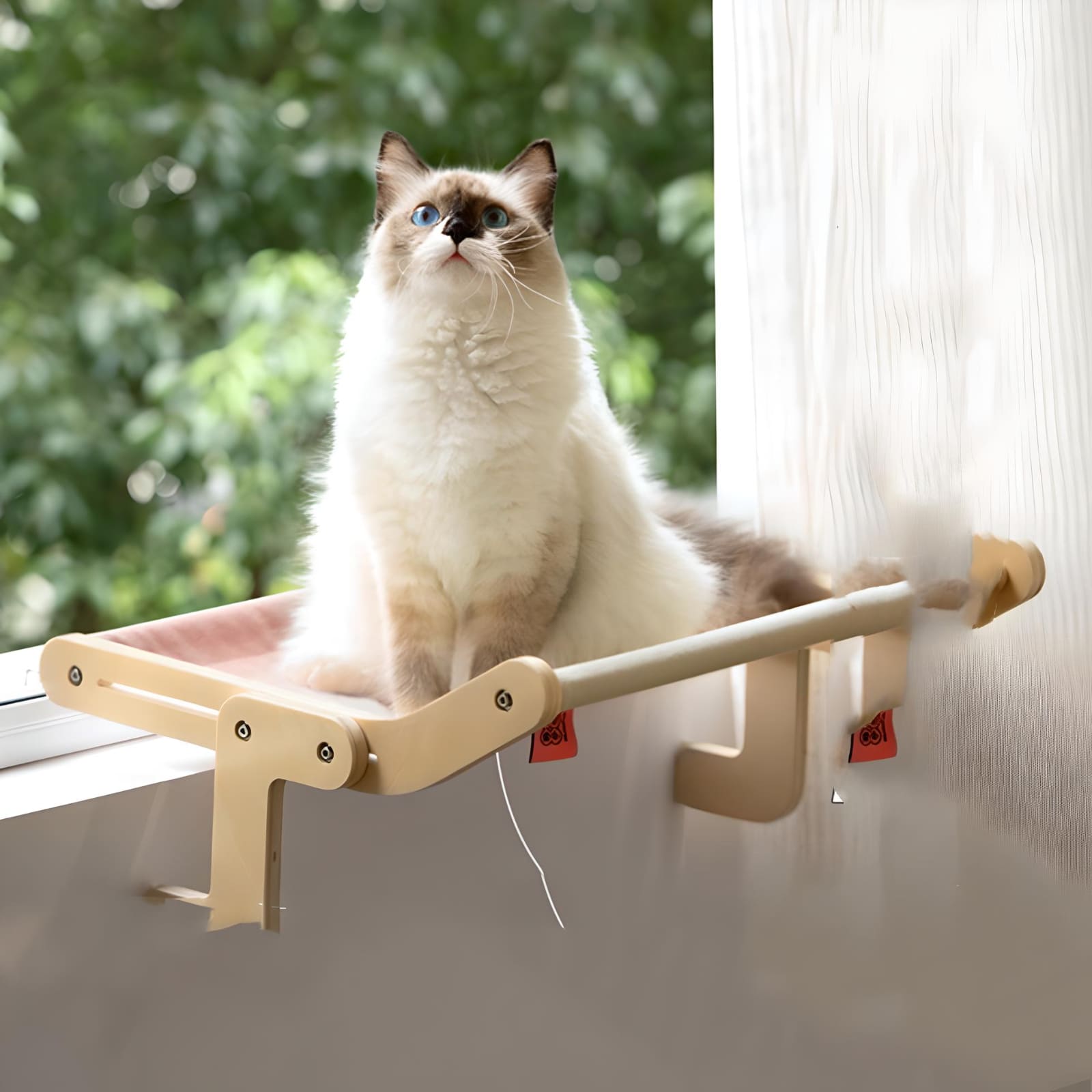 cat-sitting-with-wooden-hammock