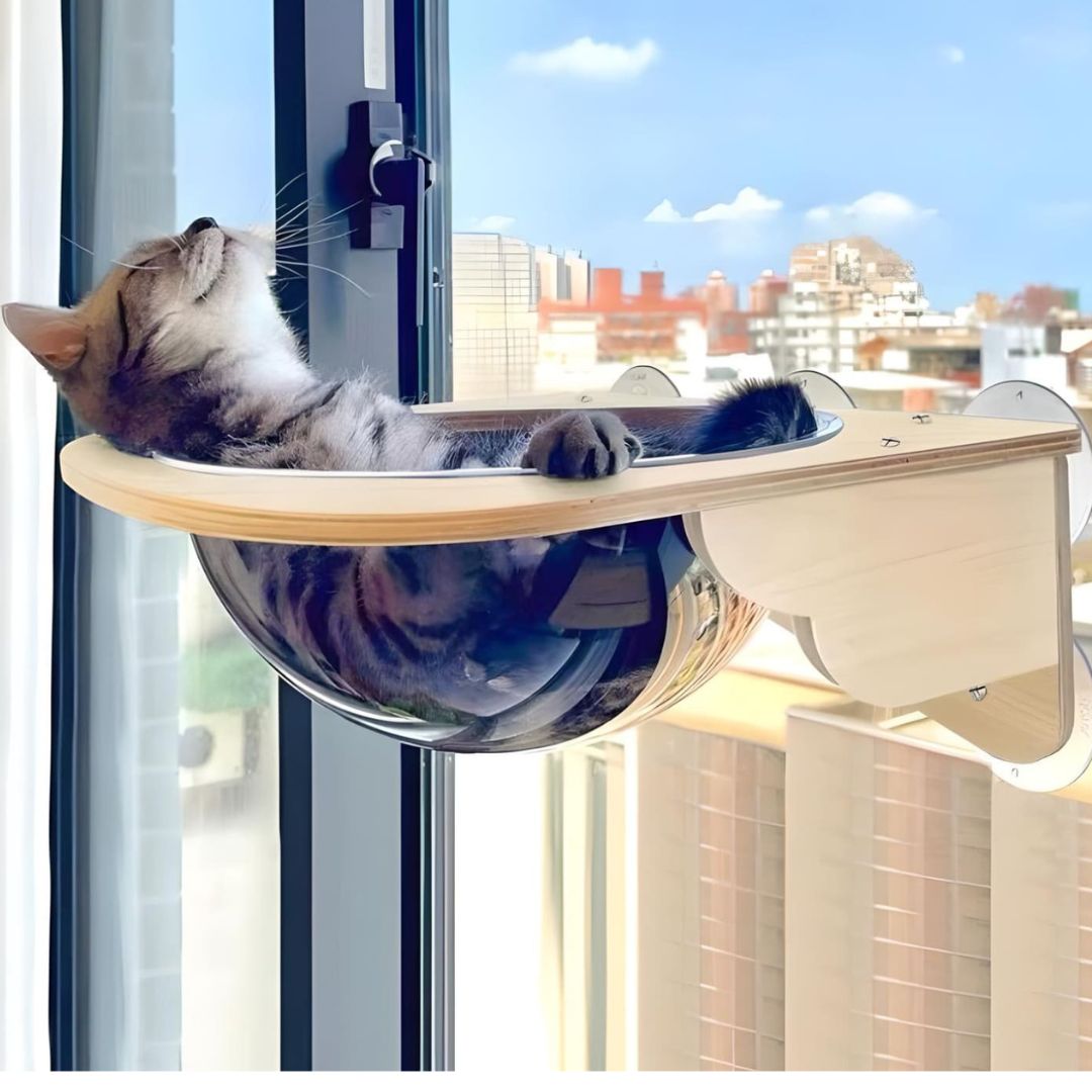 cat-sleeping-on-wood-cat-hammock
