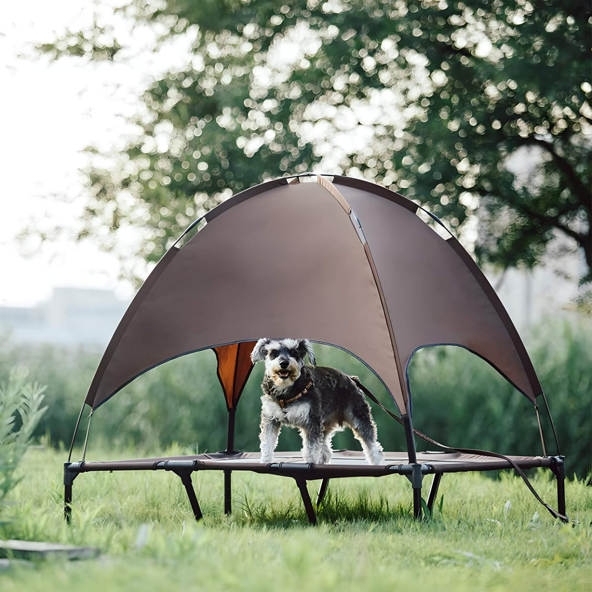 dog-cot-with-canopy-dog-under-the-hammock