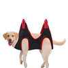 dog-in-a-grooming-harness