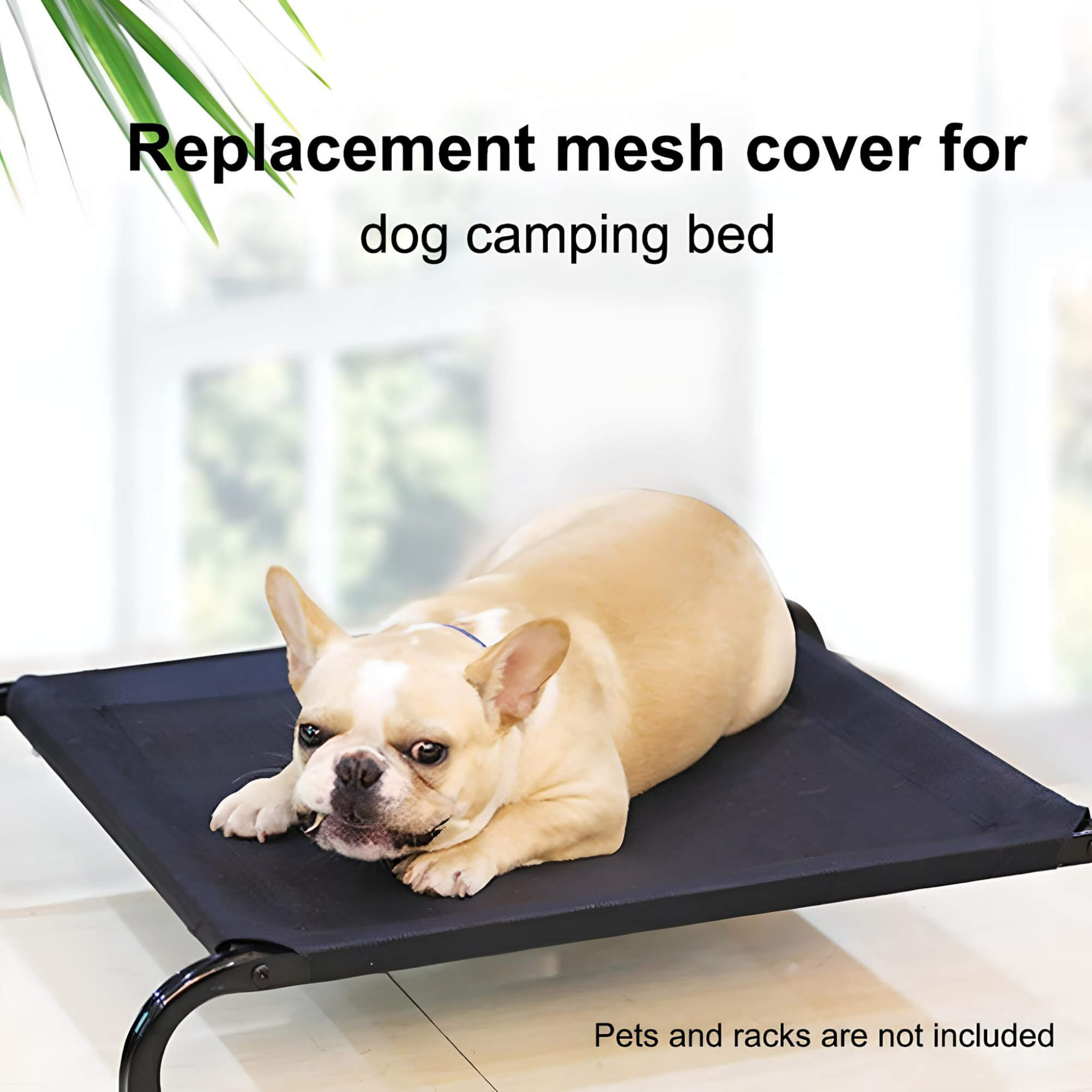      dog-laying-on-cots