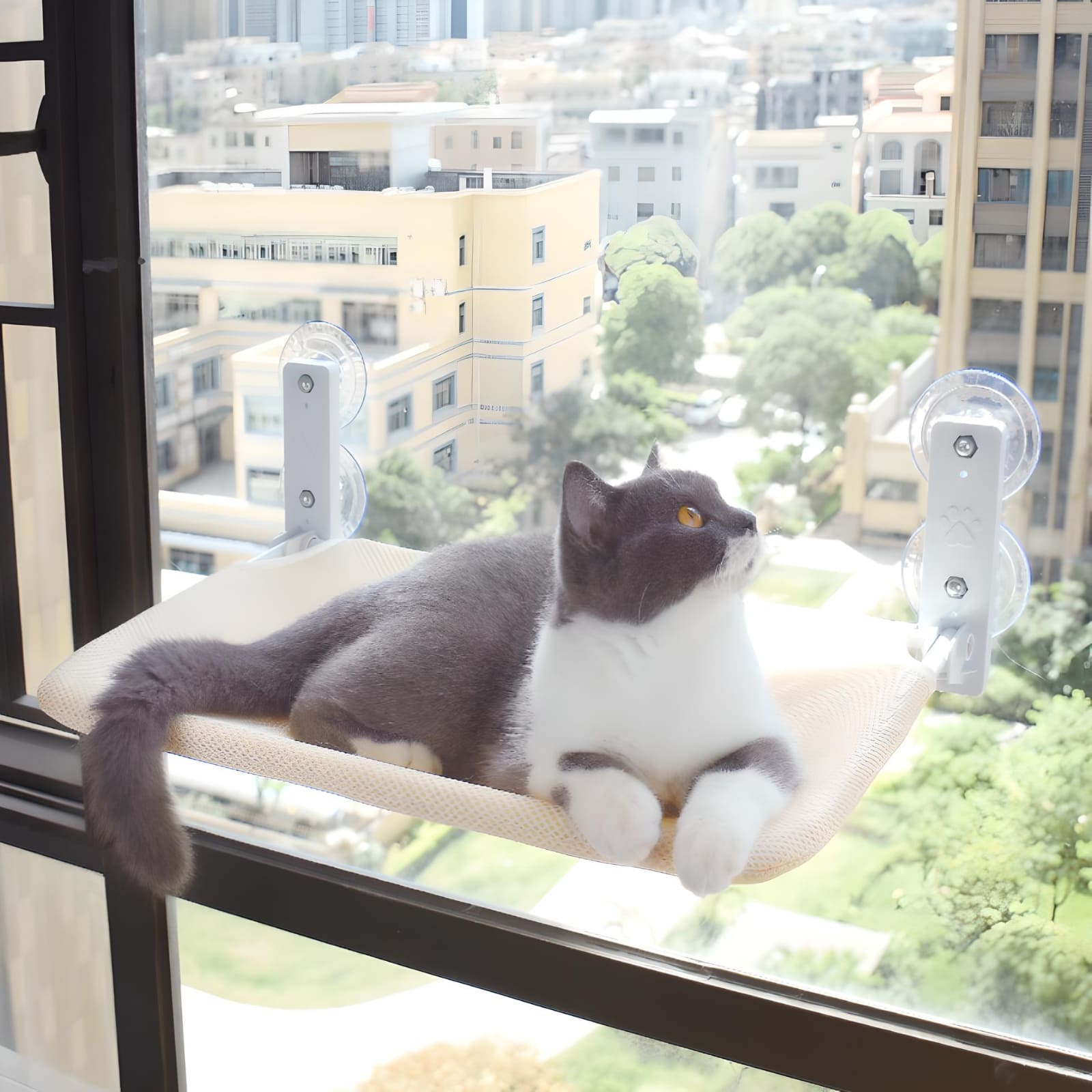grey-and-white-pattern-cat-seating-on-foldable-window-perch
