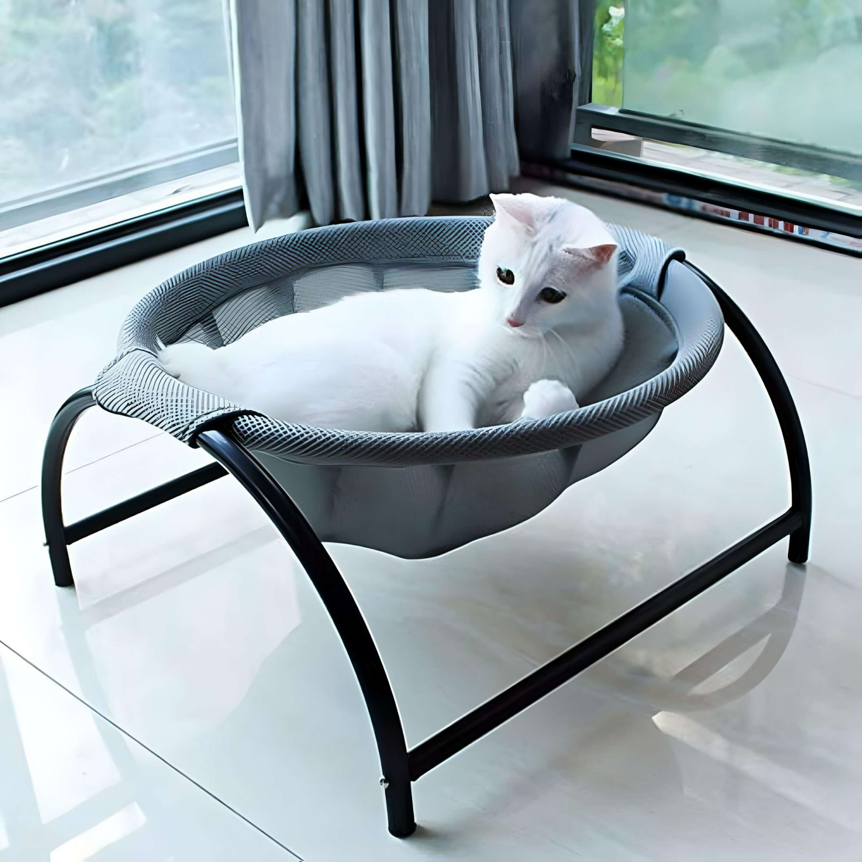 large-cat-hammock-cat-siiting-in-hammock
