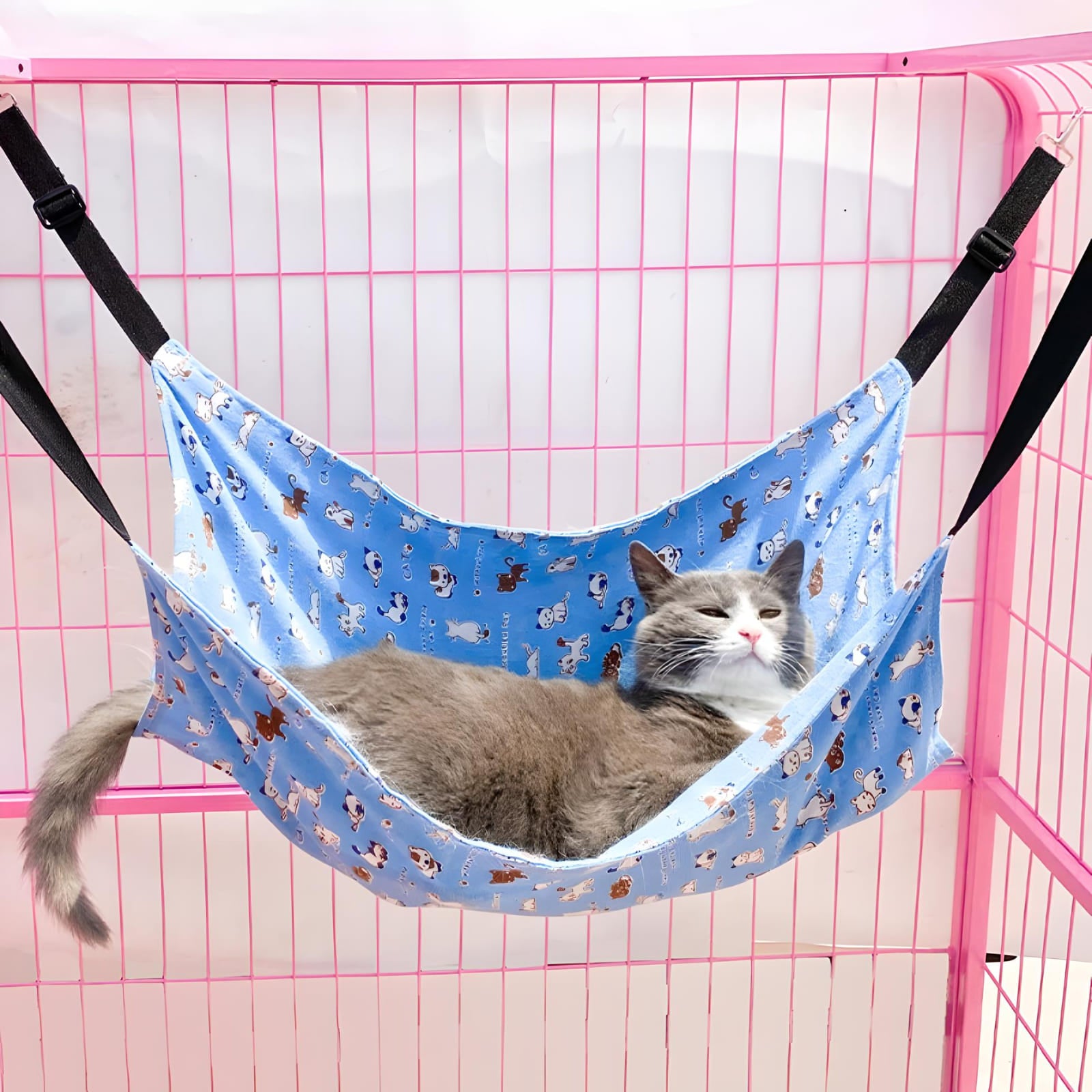 pet-cage-hammock-in-sky-blue-color