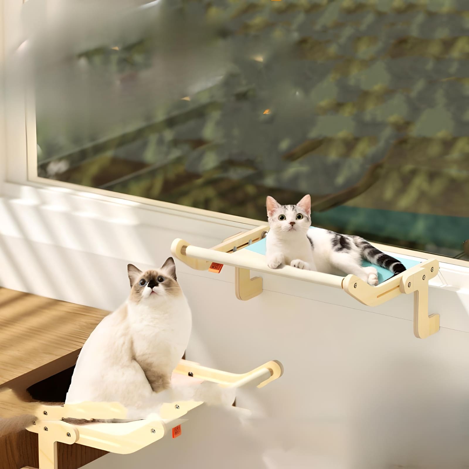 two-cat-sitting-wooden-hammock
