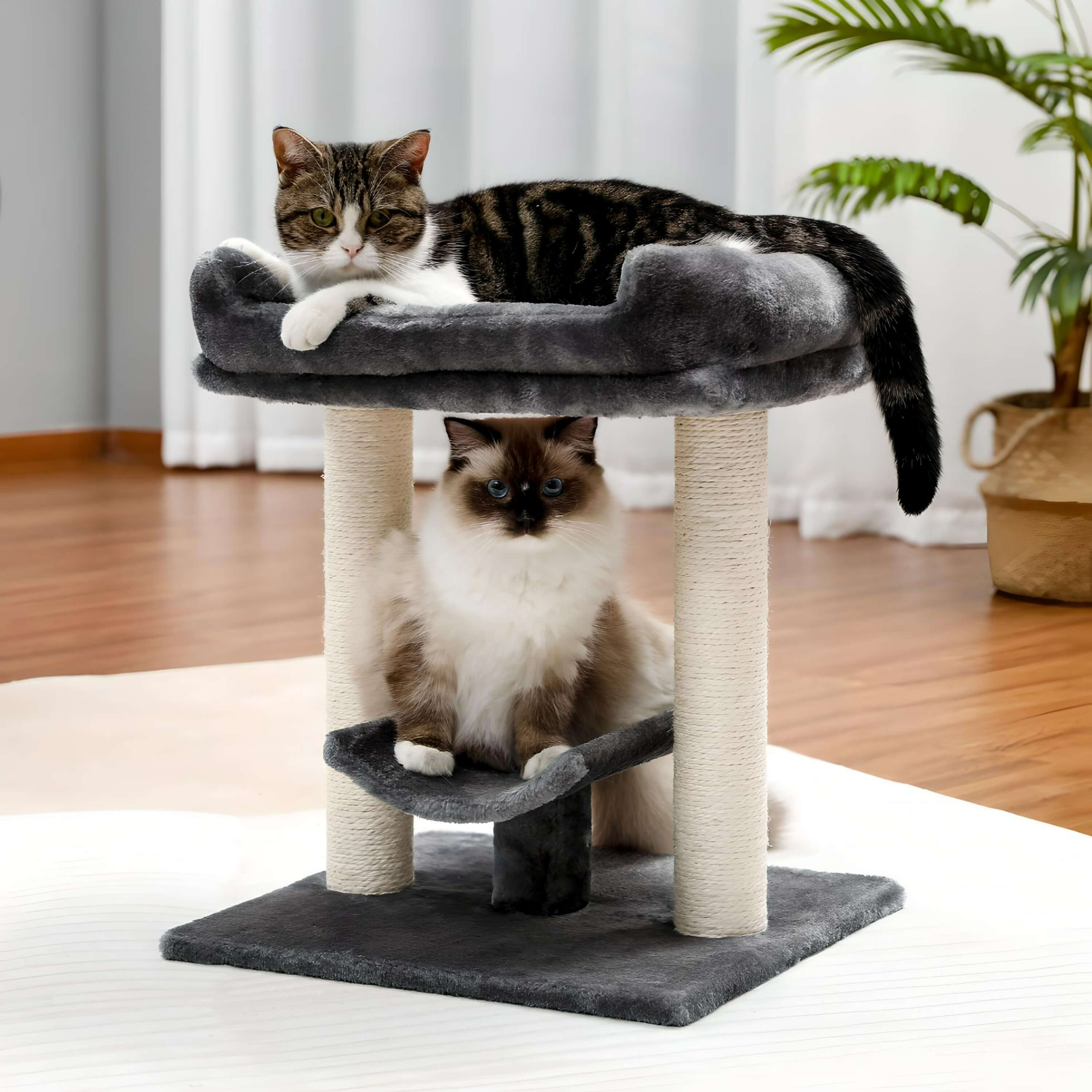 two-cats-laying-on-2-tier-tower