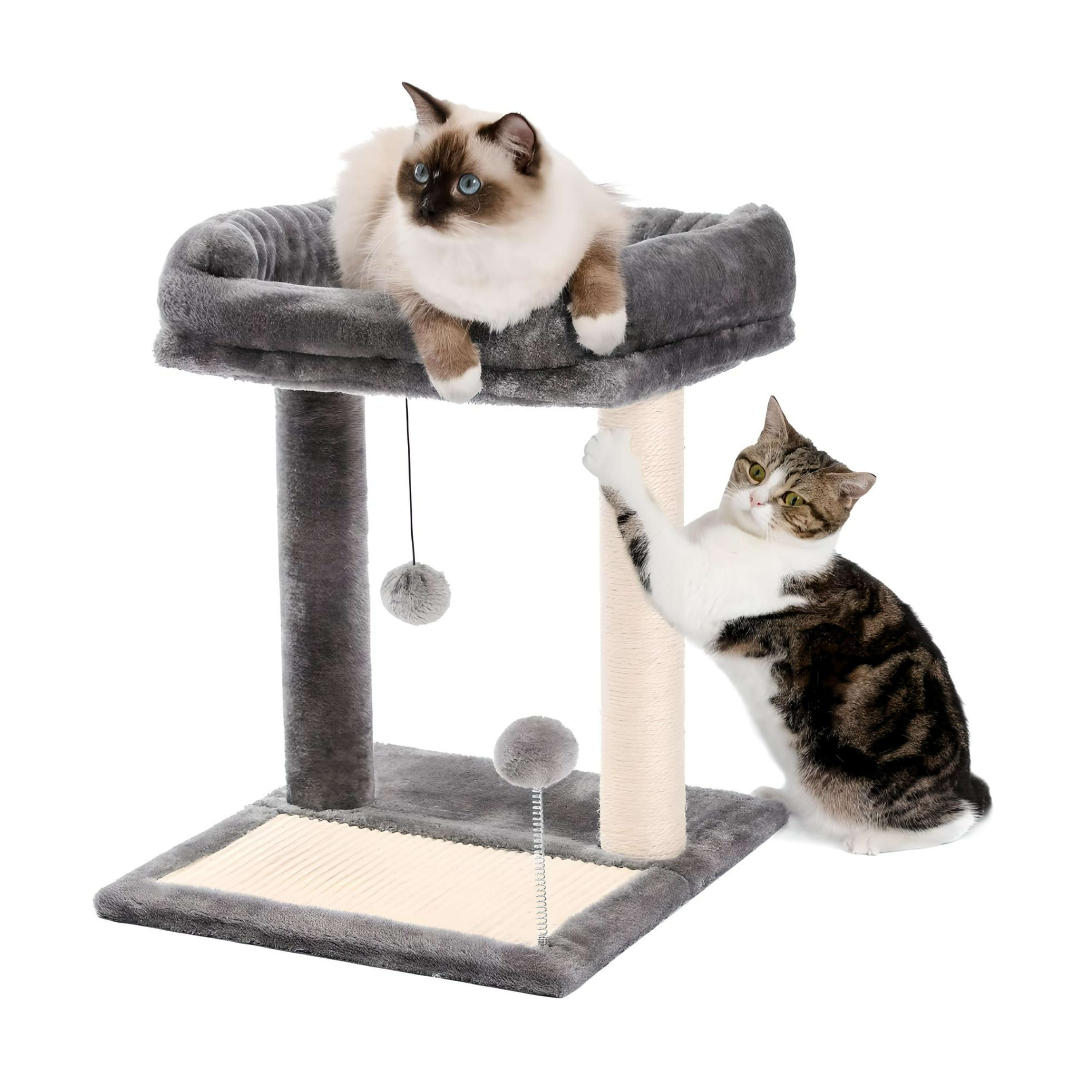 two-cats-sitting-on-2-tier-tower