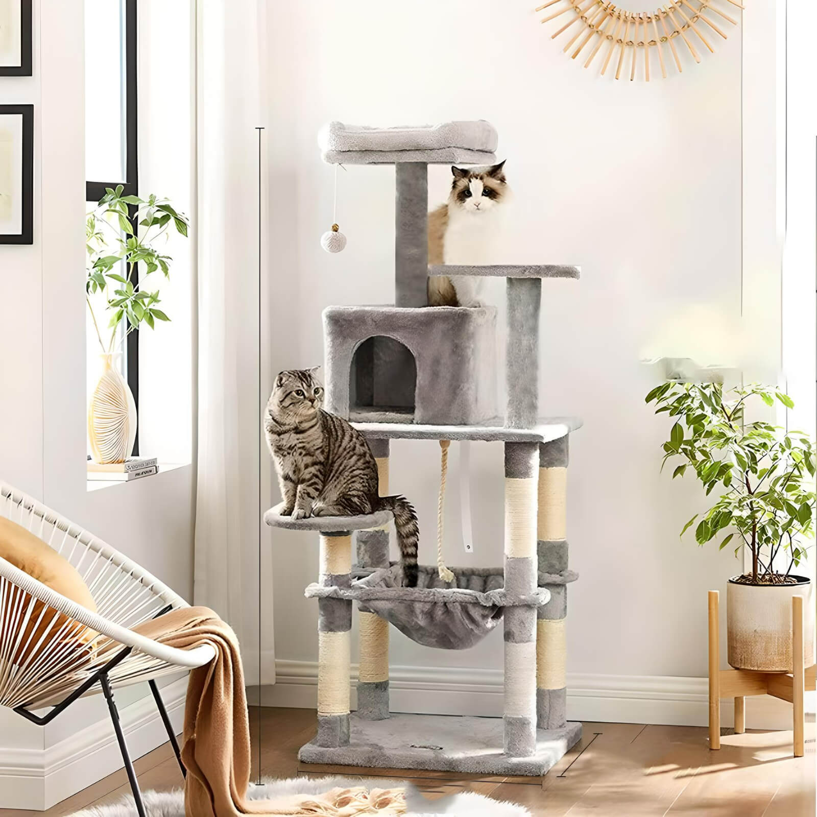 two-cats-sitting-on-cat-tree-with-hammock